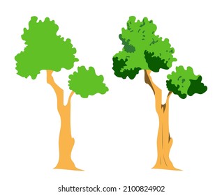 Isolated icons of trees on a white background with different details. For logos and banners. The concept of a green planet and clean ecology. Vector flat illustration.