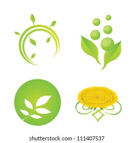 Isolated illustrated elements and symbols with natural items as leaves and flowers to use as branding material