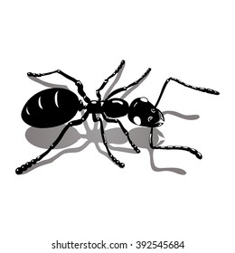 Isolated illustration ant icon vector image