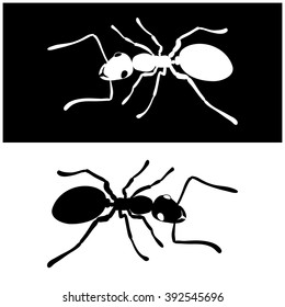 Isolated illustration ant icon vector image