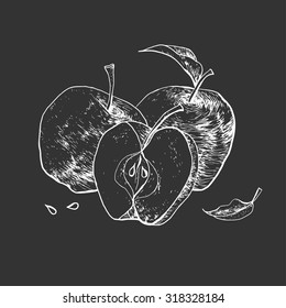 Isolated illustration of an apple. Vector, hand-drawn images.