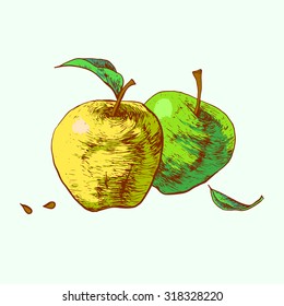Isolated illustration of an apple. Vector, hand-drawn images.
