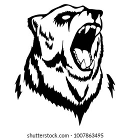 Isolated illustration of a bear's head