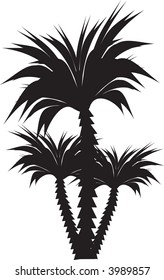 Isolated illustration of black palm tree over white