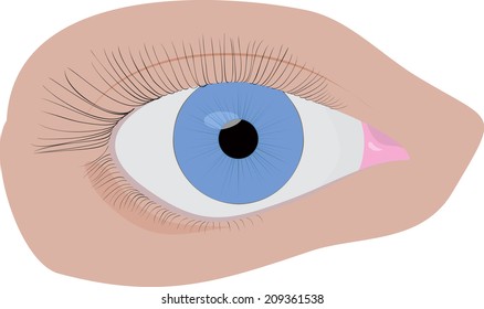 isolated illustration blue human eye on white