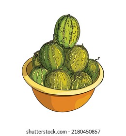 Isolated illustration of a bowl of watermelon on a white background. Berry as a blank for a designer, logo, icon