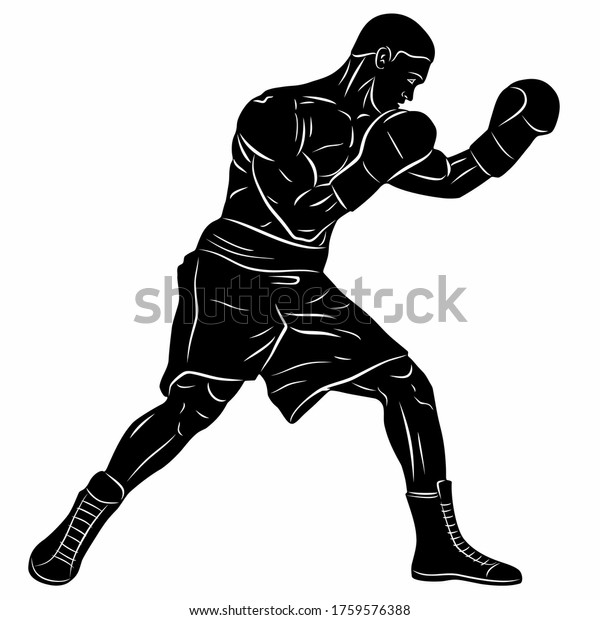 Isolated Illustration Boxer Black White Drawing Stock Vector (Royalty ...