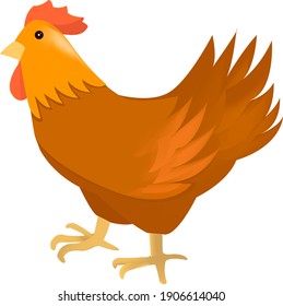 isolated illustration of brown and yellow chicken