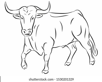 isolated illustration of bull . black and white vector drawing, white background 