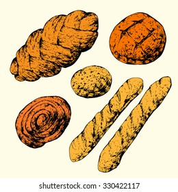 Isolated illustration of a carrot. Vector, hand-drawn images.