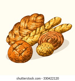 Isolated illustration of a carrot. Vector, hand-drawn images.