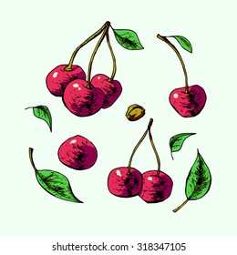 Isolated illustration of a cherry. Vector, hand-drawn images.