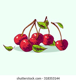 Isolated illustration of a cherry. Vector, hand-drawn images.