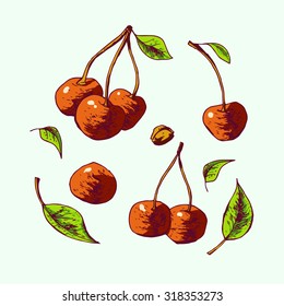 Isolated illustration of a cherry. Vector, hand-drawn images.
