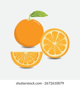 Ilustração isolada Coleção de Orange Fruit EPS Vetor