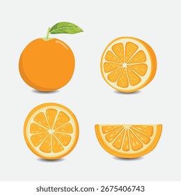 isolated illustration Collection of Orange Fruit EPS Vector
