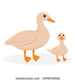 Isolated illustration of a duck with a duckling. Farm birds on a white background in cartoon style