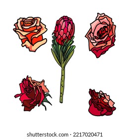 Isolated illustration flower plants on white background. Line hand painted illustration. Ideal for medical design, herbal cards, prints, posters.