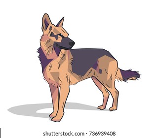 Isolated illustration of german friendly shepherd standing in color