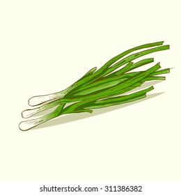 Isolated illustration of a green bow. Vector, hand-drawn images.
