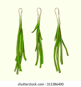 Isolated illustration of a green bow. Vector, hand-drawn images.