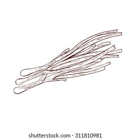 Isolated illustration of a green bow. Vector, hand-drawn images.