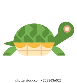 Isolated illustration green turtle cartoon 