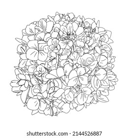 Isolated illustration of hydrangea. Flower in isolation as a logo, blank for designers