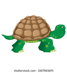 Isolated illustration of a land tortoise