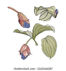 Einzige Illustration großer tropischer Blätter und Blumen. Exotische Blumen und Blätter als Druck, Blinddruck für Designer, Logo, Etikett, Aufkleber
