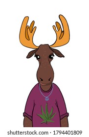 isolated illustration of a moose in the t-shirt. funny illustration of the elk