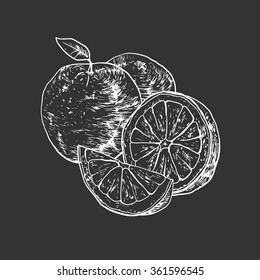 Isolated illustration of an orange. Vector, hand-drawn images.