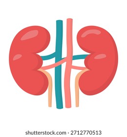 Isolierte Illustration eines Paares menschlicher Nierenorgane für Werbezwecke, Banner, Bilder zur Gesundheitserziehung über die Nierengesundheit in Gesundheitseinrichtungen.