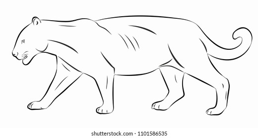 Isolated Illustration Panther Black White Drawing Stock Vector (Royalty ...