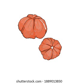 Isolated illustration of peeled orange, grapefruit, tangerine on a white background. Logo, icon, blank for designers, citrus