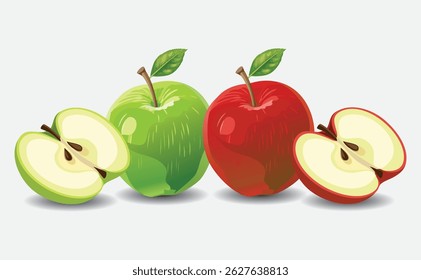 isolated illustration of a Red and Green apple EPS Vector