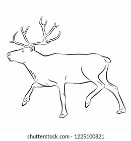 Isolated Illustration Reindeer Black White Drawing Stock Vector ...