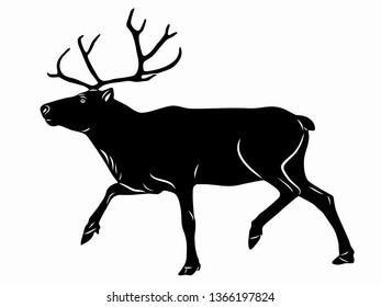isolated illustration of a reindeer,  black and white drawing, white background
