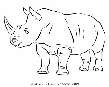 Isolated Illustration Rhino Black White Vector Stock Vector (Royalty ...