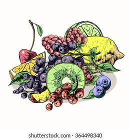 Isolated illustration set fruit. Vector, hand-drawn images.