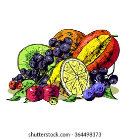 Isolated illustration set fruit. Vector, hand-drawn images.