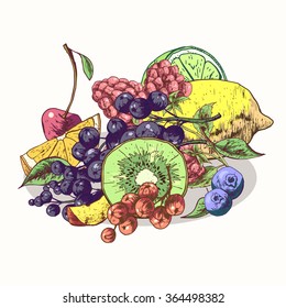 Isolated illustration set fruit. Vector, hand-drawn images.