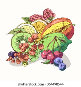 Isolated illustration set fruit. Vector, hand-drawn images.