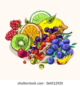 Isolated illustration set fruit. Vector, hand-drawn images.
