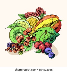 Isolated illustration set fruit. Vector, hand-drawn images.