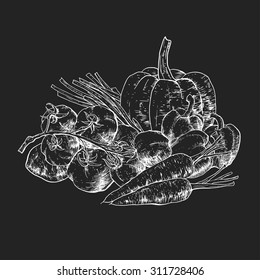 Isolated illustration set of vegetables. Vector, hand-drawn images.