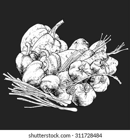Isolated illustration set of vegetables. Vector, hand-drawn images.