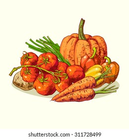 Isolated illustration set of vegetables. Vector, hand-drawn images.