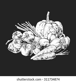Isolated illustration set of vegetables. Vector, hand-drawn images.
