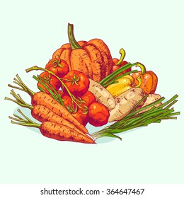 Isolated illustration set of vegetables. Vector, hand-drawn images.